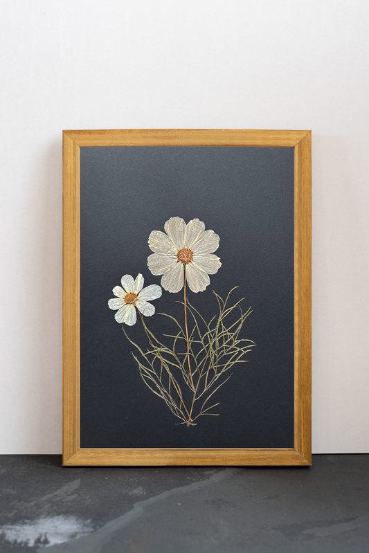 Cuadro Cosmos negros IV