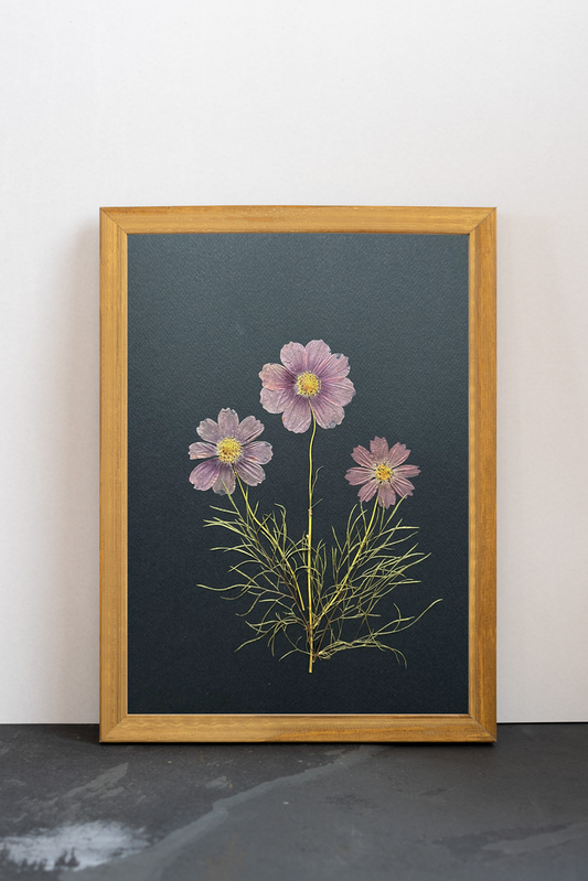 Cuadro Cosmos negros V