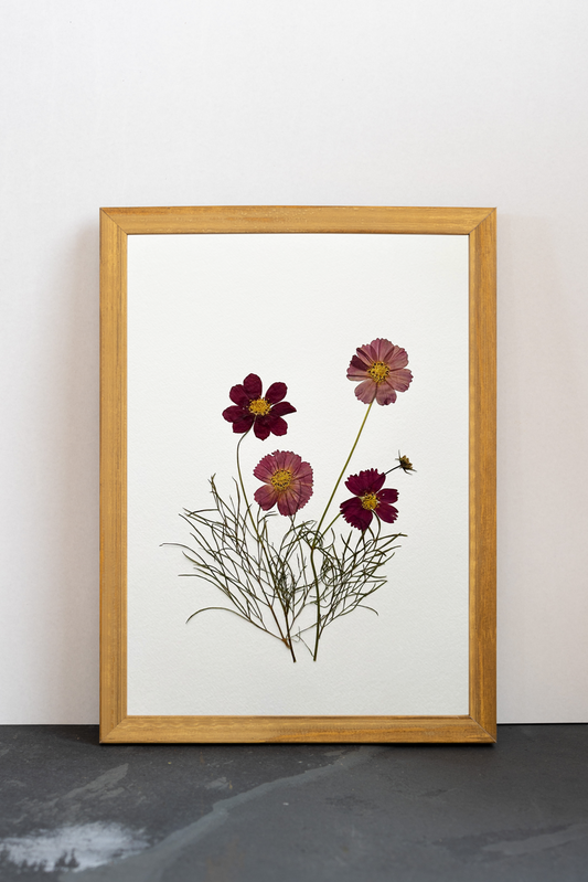 Cuadro Cosmos púrpura I