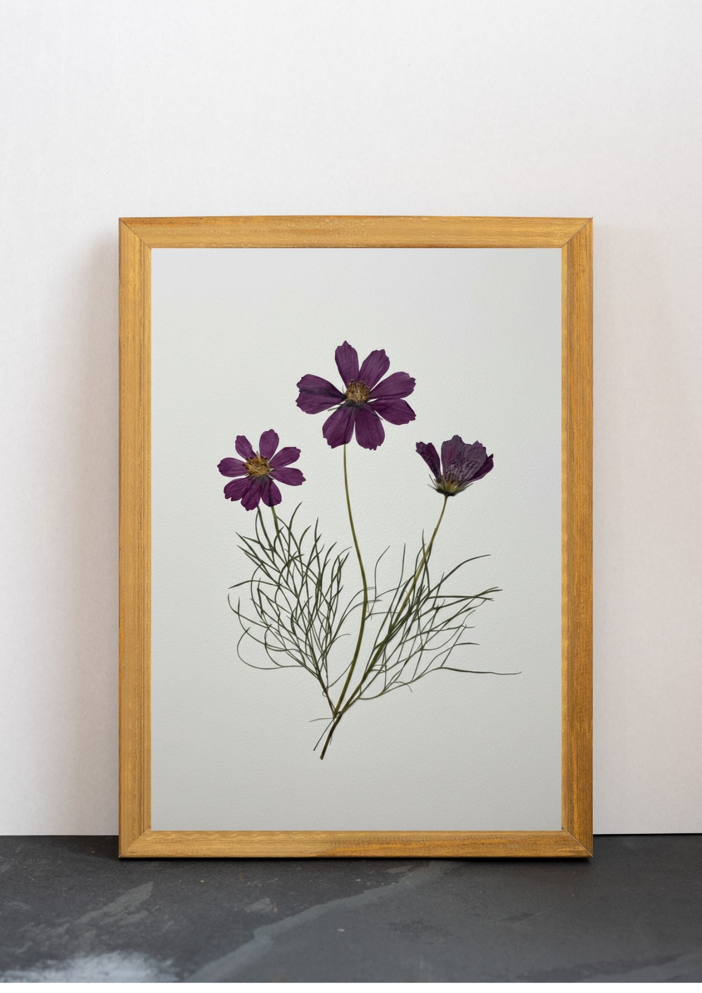 Cuadro Cosmos púrpura I
