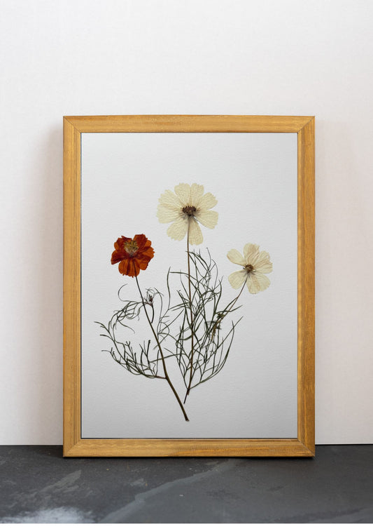 Cuadro Cosmos Terracota II