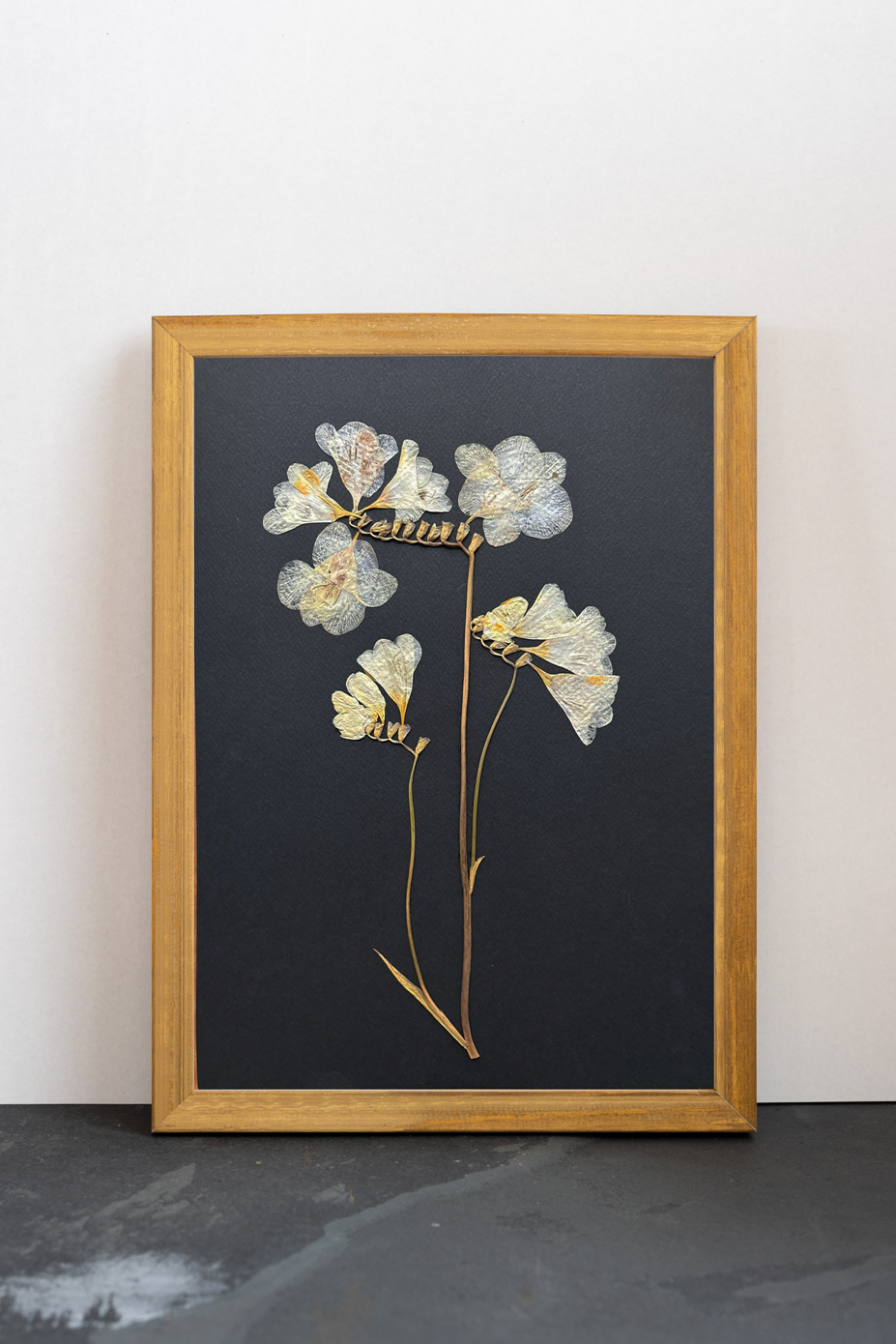 Cuadro Fresias negras II