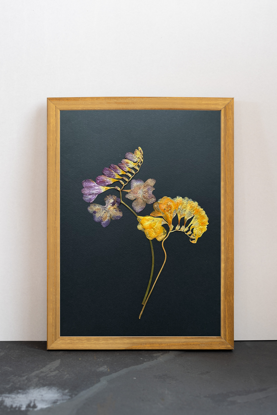 Cuadro Fresias negras III