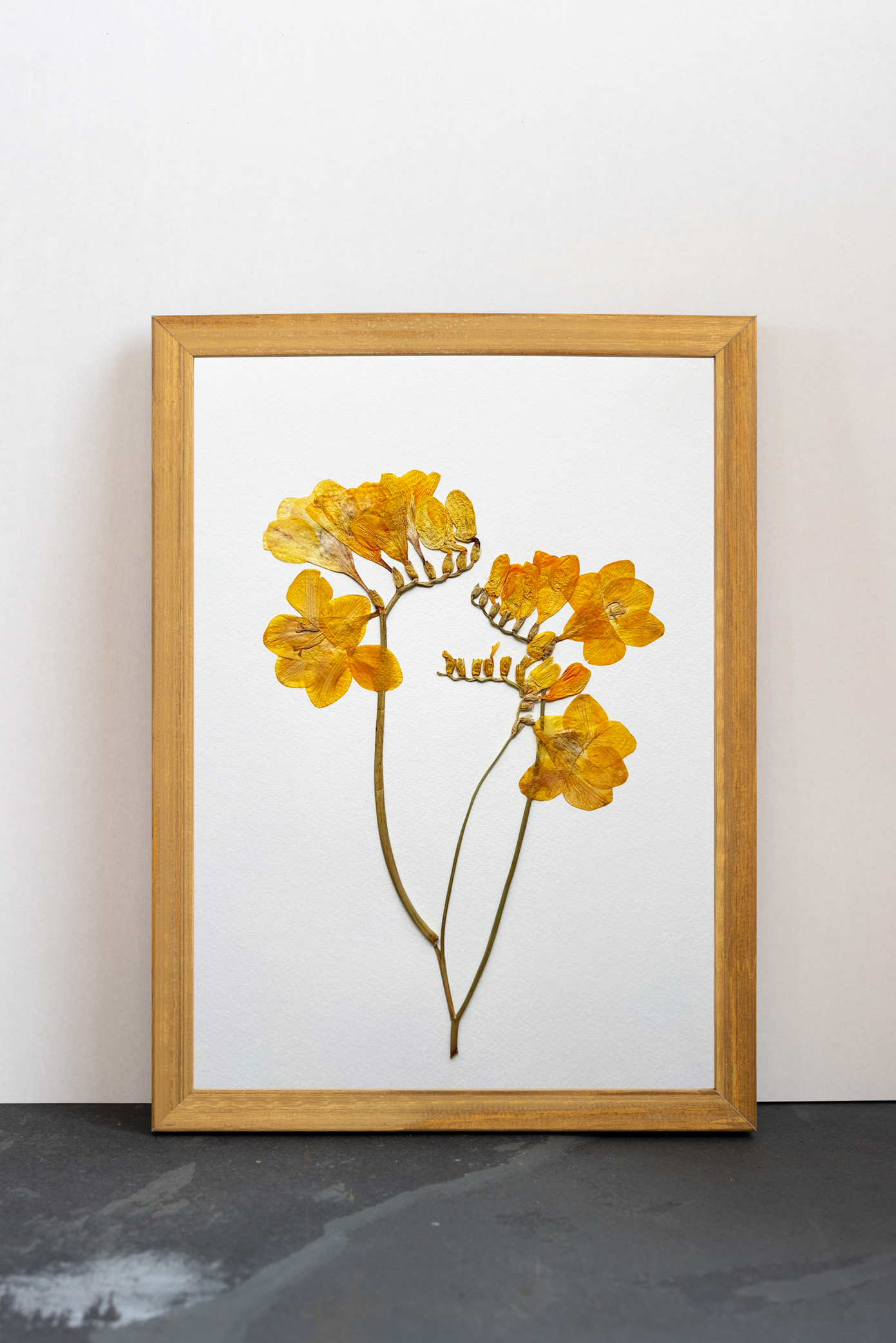 Cuadro Fresias amarillas I