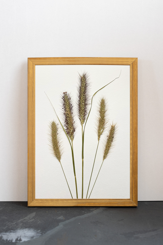 Cuadro Gramíneas II