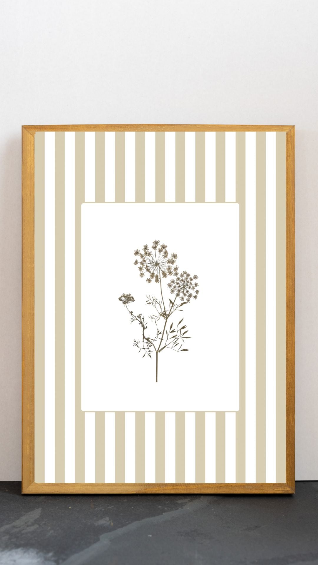 Garden Lines / Beige Ammis