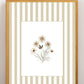 Garden Lines / Beige Cosmo IV