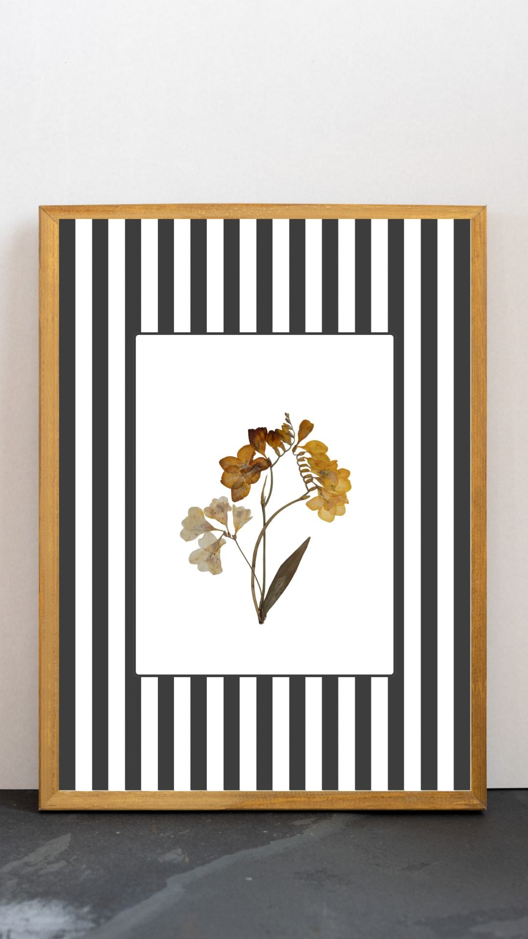 Garden Lines / Black Fresia II