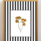 Garden Lines / Black Fresia I