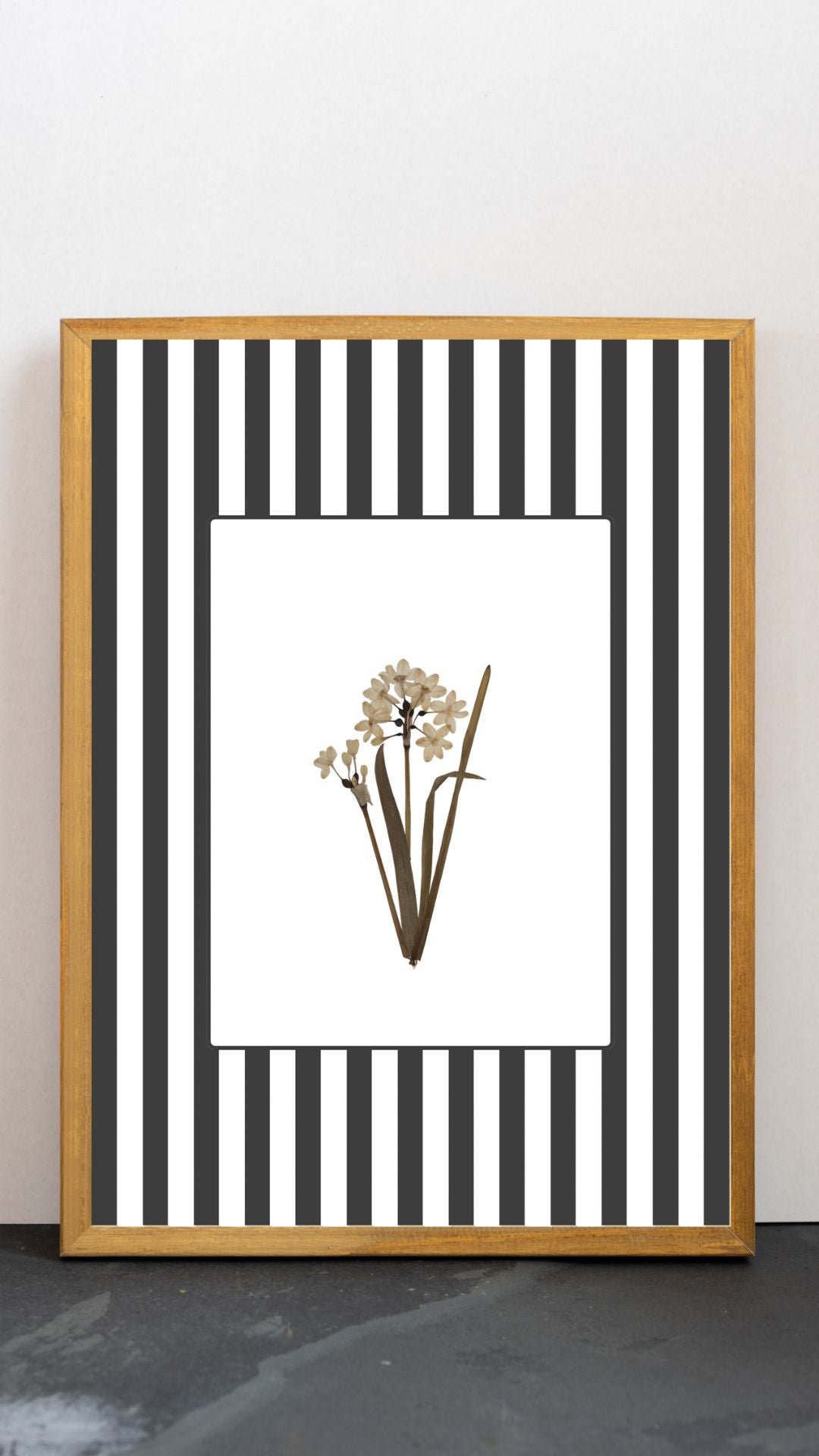 Garden Lines / Black Narciso