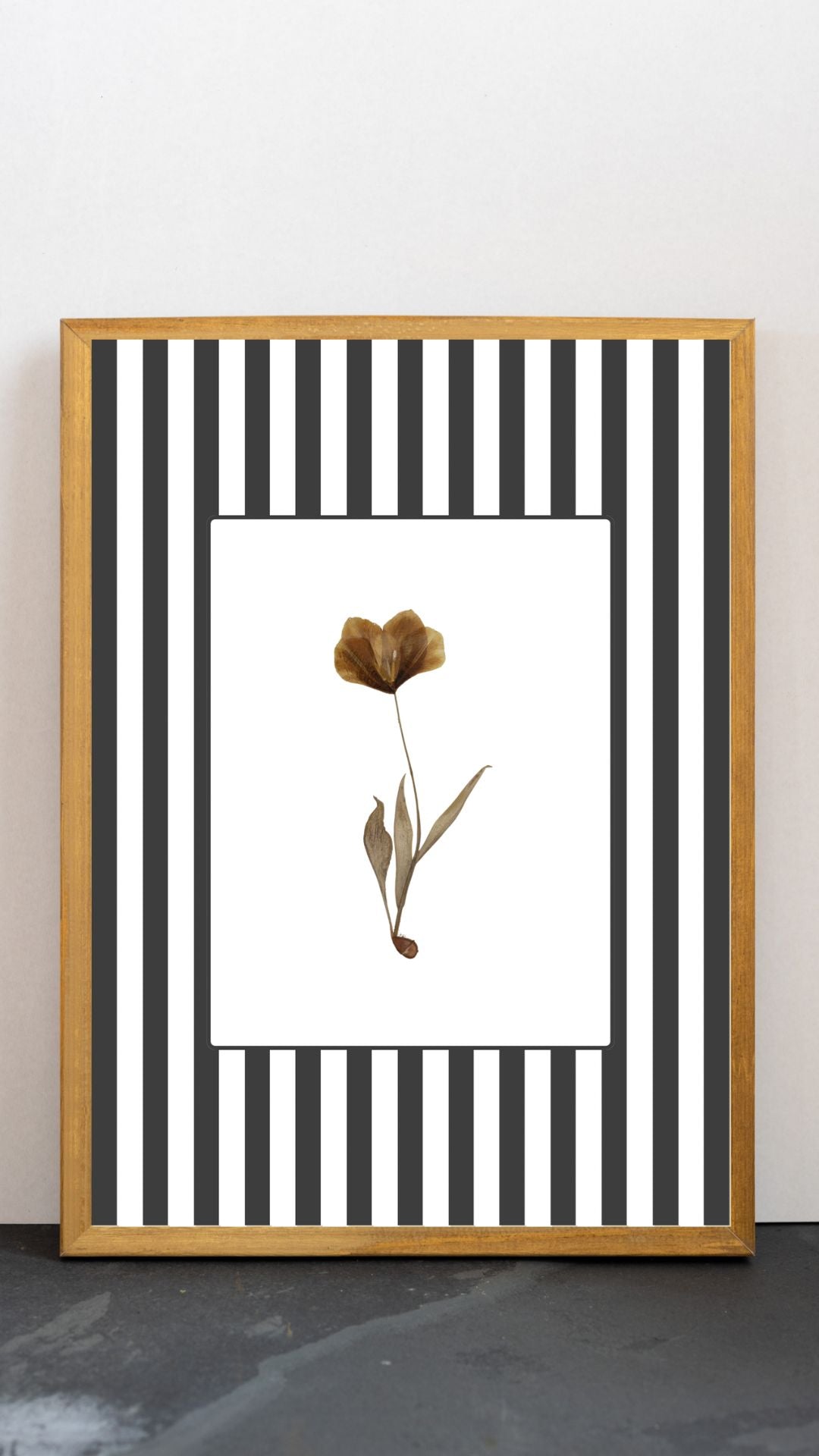 Garden Lines / Black Tulip III