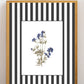 Garden Lines / Black Delphinium II