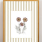 Garden Lines / Beige Cosmo II