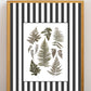 Garden Lines / Black Ferns