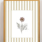 Garden Lines / Beige Cosmo I
