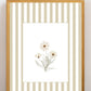 Garden Lines / Beige Cosmo III