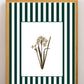 Garden Lines / Green Narciso