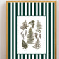 Garden Lines / Green Ferns III