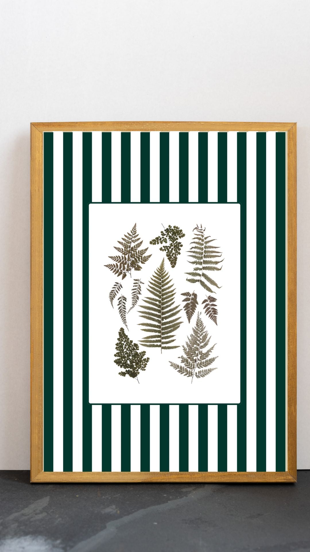 Garden Lines / Green Ferns III