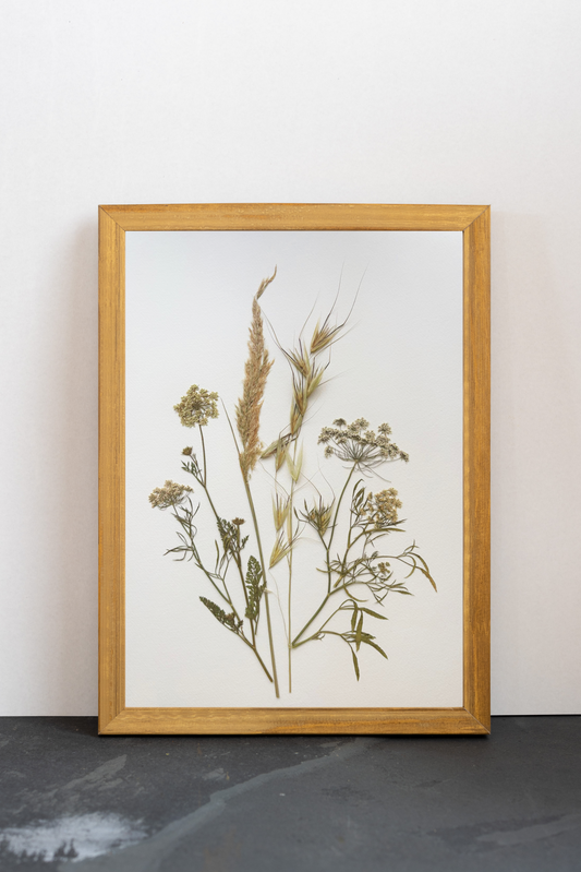 Cuadro Wild Fields 5