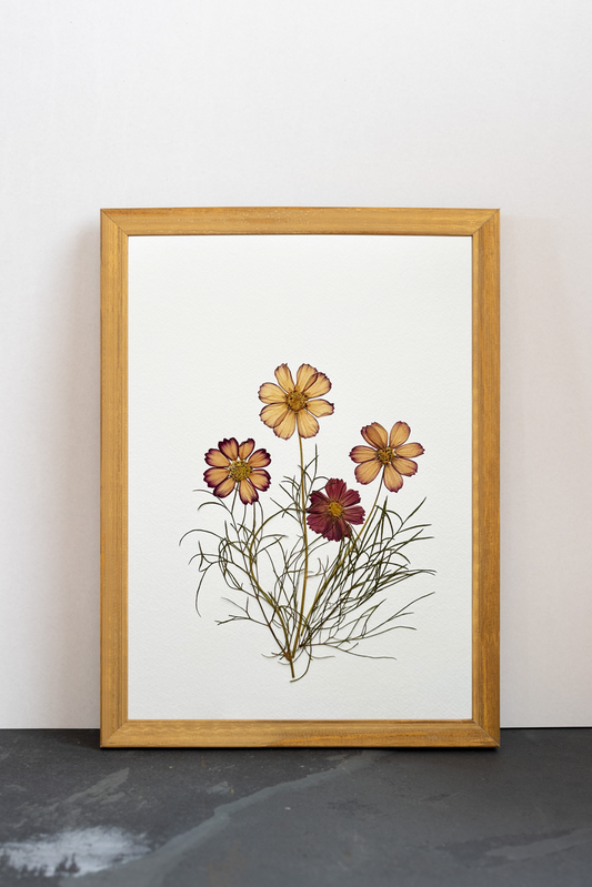 Cuadro Cosmos púrpura II