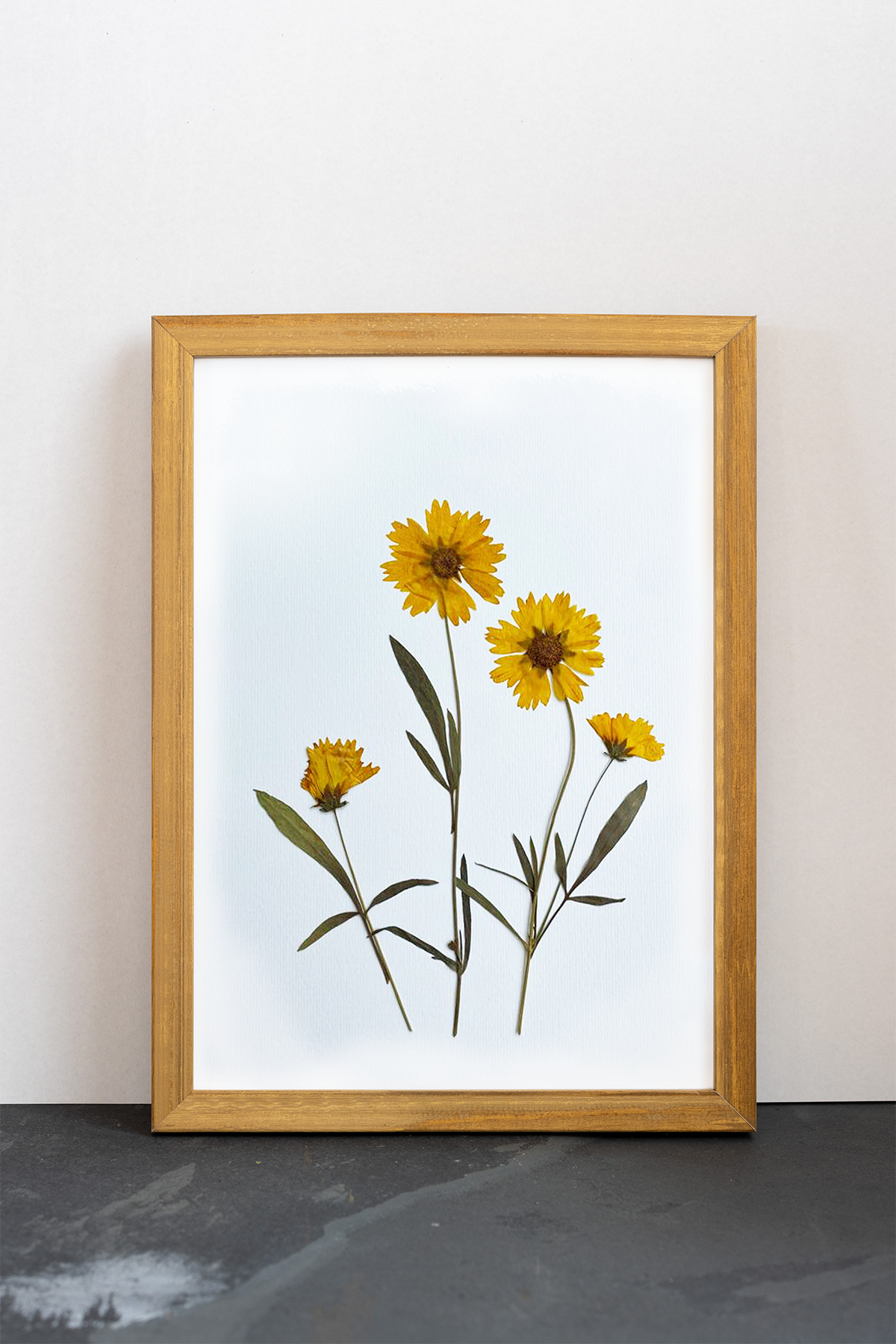 Cuadro Coreopsis II