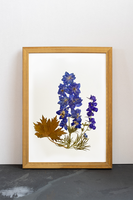 Cuadro Delphinium VI