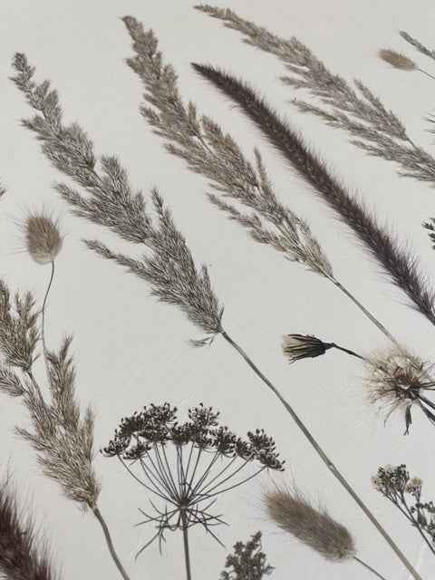 Lámina Wild Meadow II