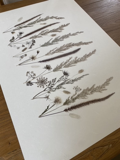 Lámina Wild Meadow II