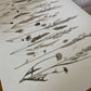 Lamina Wild Meadow I